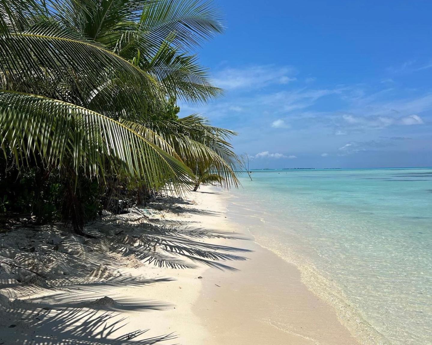 Heron Beach Hotel - The Best Maldivian Getaway In Dhiffushi,Maldives Ngoại thất bức ảnh