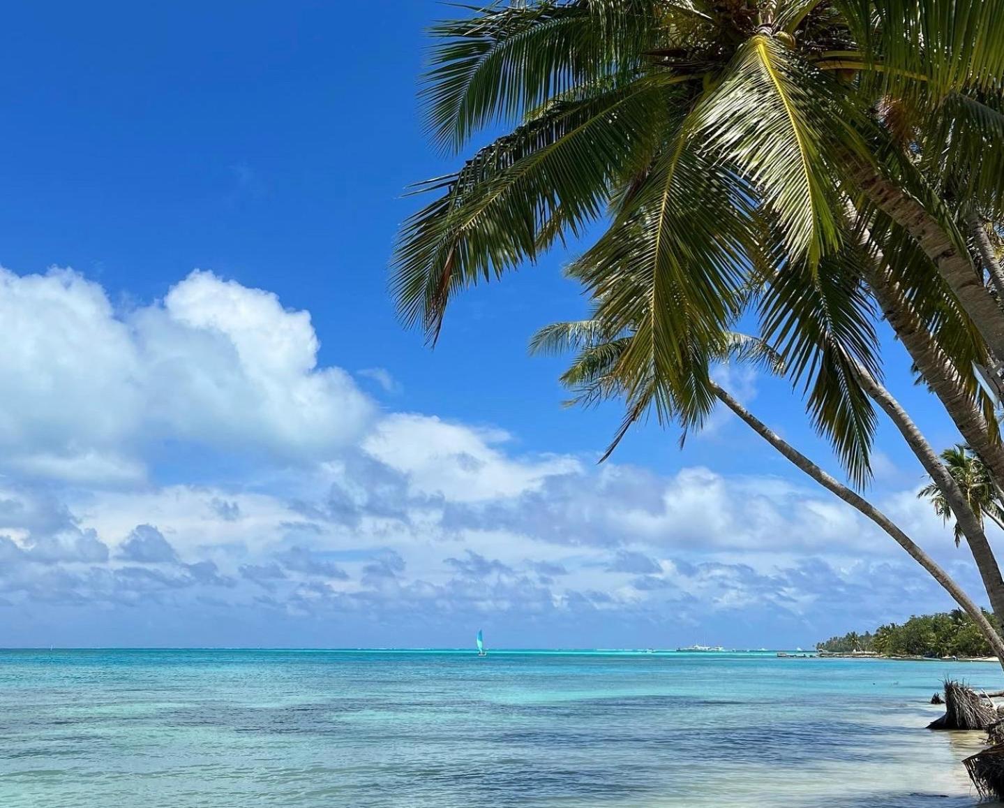 Heron Beach Hotel - The Best Maldivian Getaway In Dhiffushi,Maldives Ngoại thất bức ảnh